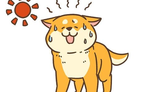 太陽光パネル温度特性続報　2023年6月