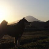 EVで富士五合目へ　2023年8月