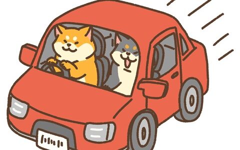 ZE1リーフがセグ欠け　2023年10月