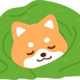 2月の電力動向　2024年2月