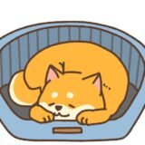 トライブリッドT3　年次定期メンテ実施（2年目）　2024年6月