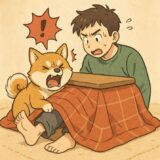 エコキュート冬期運転が開始　2025年11月