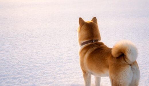 蓄電池手動調整の結果　2025年12月