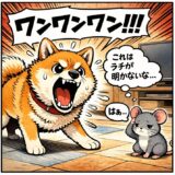 なんと、オフグリッド！　2026年4月